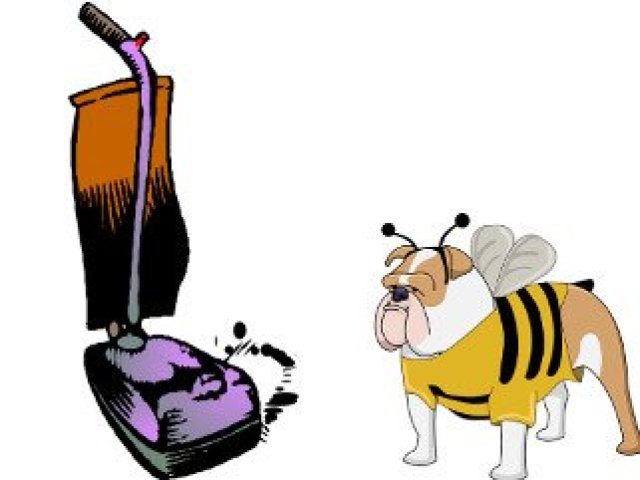 Čím vyluxovat, jak to přežít a jak se tomu vyhnout