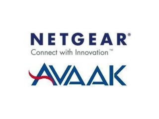 Netgear koupil Avaak