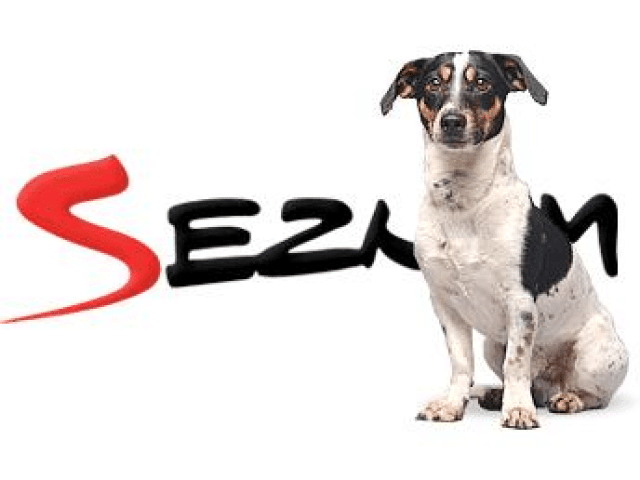 Nejhledanější červencová slova na Seznam.cz