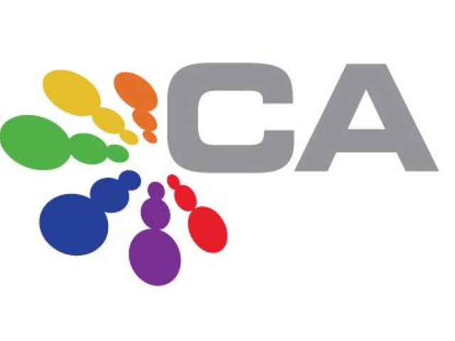 Každý druhý zaměstnanec jedná neeticky