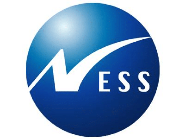 Ness: Volf, Djukanovic, Halířová a Kamínek