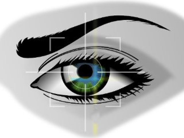 Firmu, dům, majetek… pohlídá to za Vás…