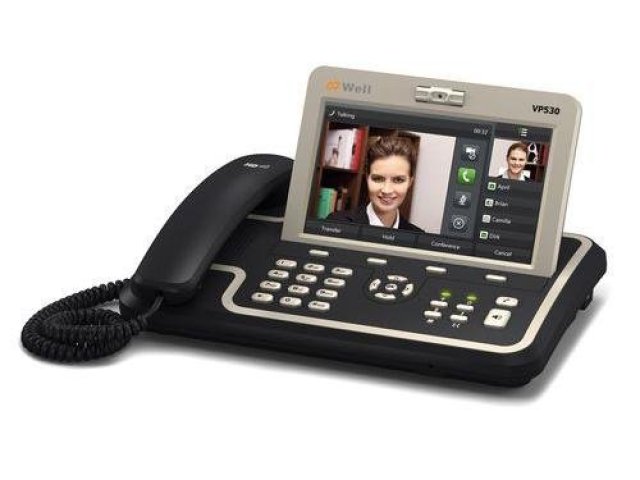 Well: videotelefon Well VP530