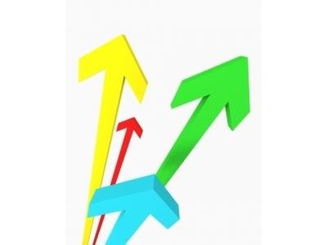 Roland Berger: Většina firem očekává růst