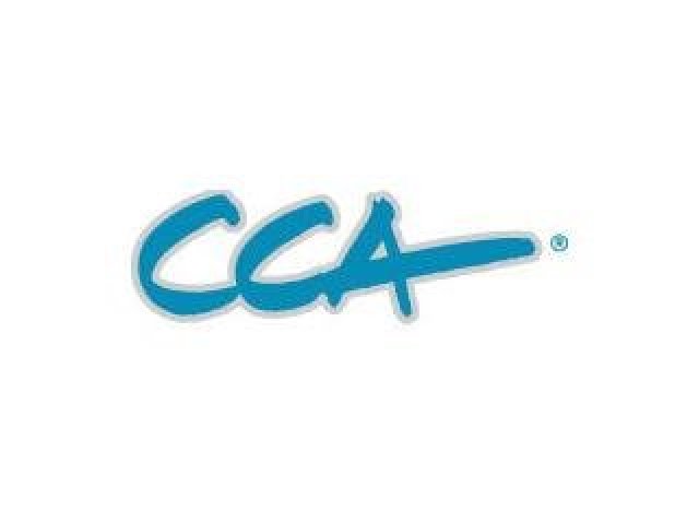 Trendy v elektronických dokumentech 2012 podle CCA