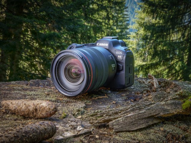 Češi v létě za fotoaparáty a kamery utratí 300 milionů. Trendem jsou bezzrcadlovky