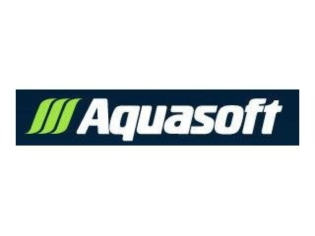 Finanční výsledky Aquasoftu v roce 2010