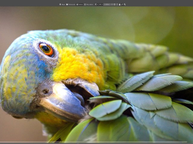 Jarní Zoner Photo Studio X se soustředí na podporu HDR