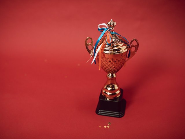 Ness Czech získal status SAP Gold Partner