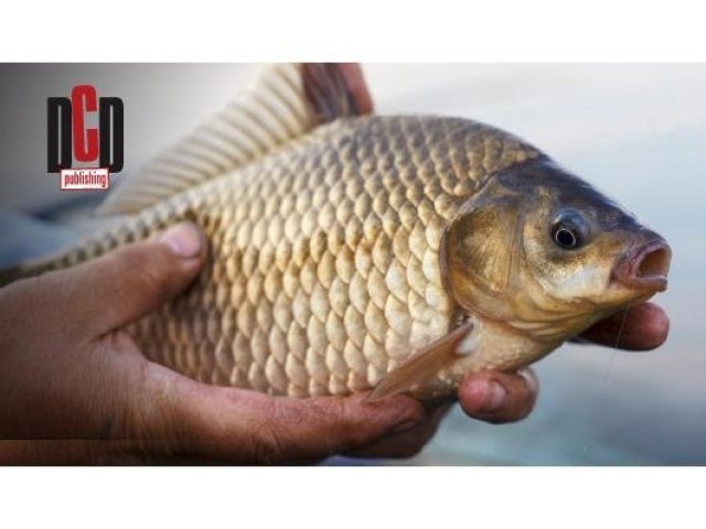 Galerie vánočních přání a novoročenek 2011