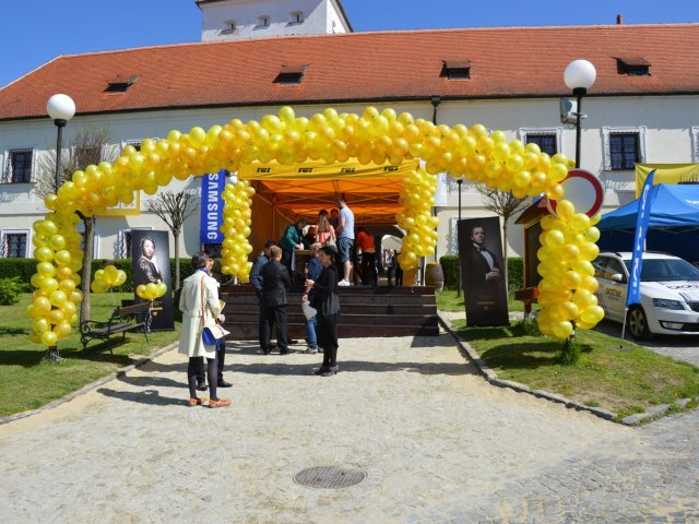 Čtvrt století černé a žluté v Čejkovicích