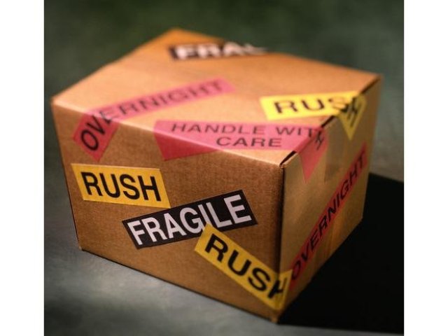 Soukromí dopravci při nákupech na internetu bodují