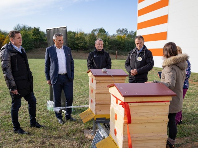 Udržitelnost v praxi: Díky programu HP Amplify Impact vznikají nové včelí úly