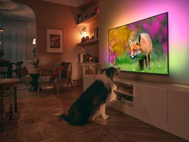 Společnost Philips TV & Sound představila podzimní novinky pro český trh