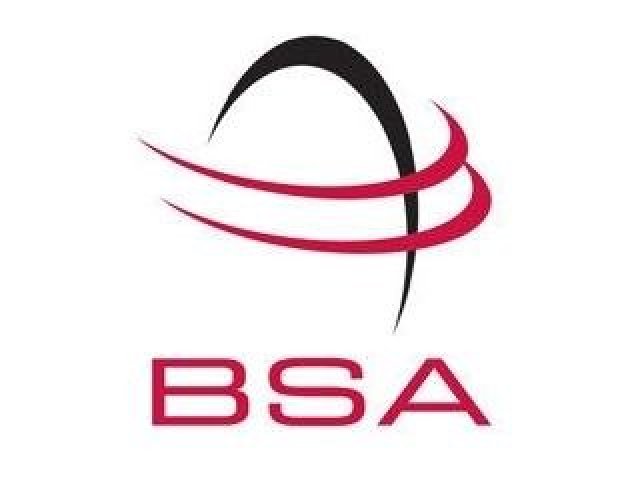 Manažeři svalují vinu za pirátství na zaměstnance 