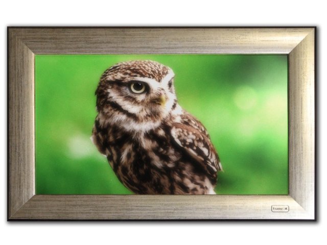 Kobe uvedlo na trh fotoobraz FrameXX Home 270 pro domácí použití