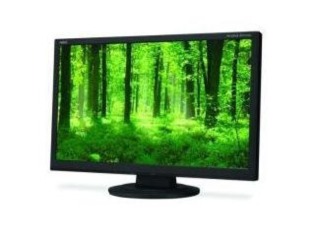 Entry level monitor od NEC