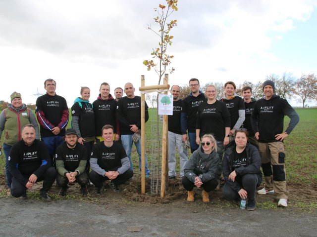 HP sází stromy pro budoucnost