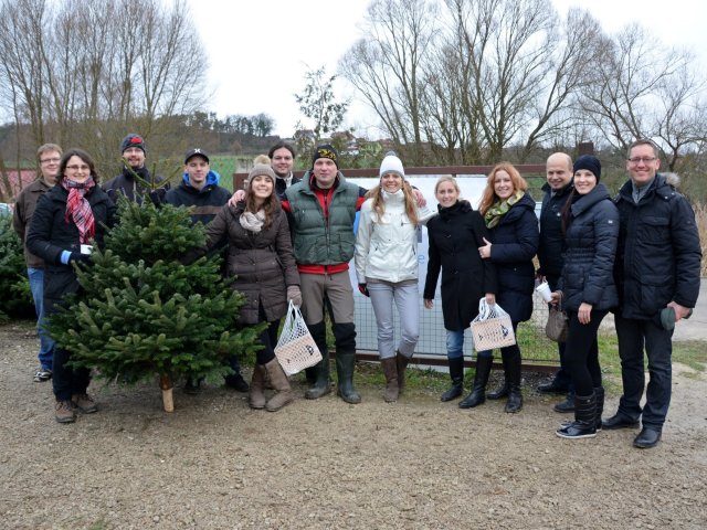 Když vánoční stromek, tak z plantáže