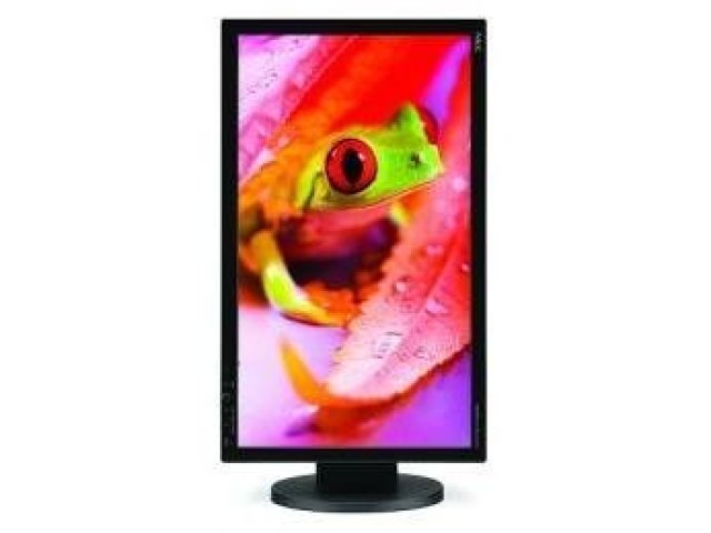 Opět špičkový monizor od NEC