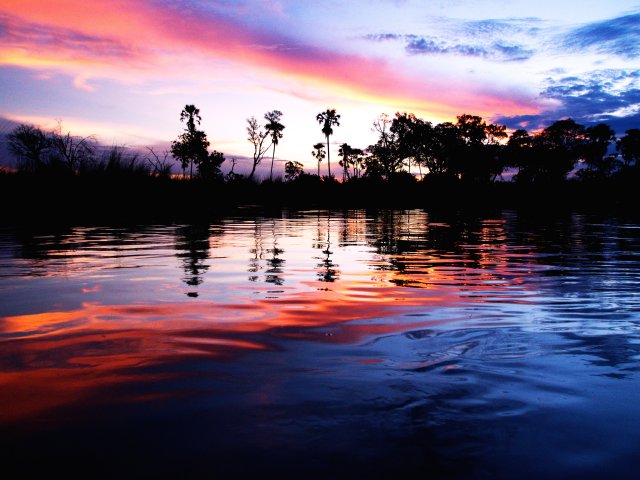 Nikon slaví Světový den fotografie