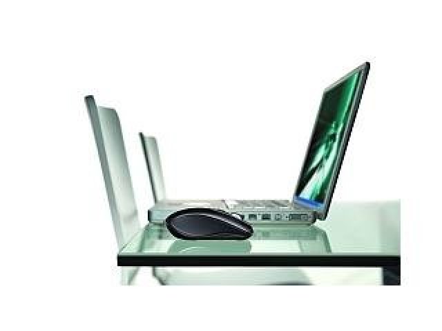 Myšky revolucionářky na skle