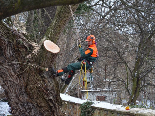 Na pět minut se Stanislavem Hájkem z Dellu