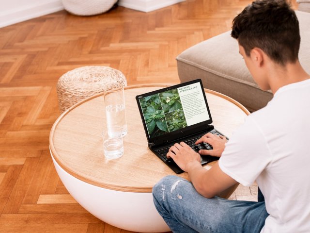 Prodej PC v regionu EMEA dále poroste