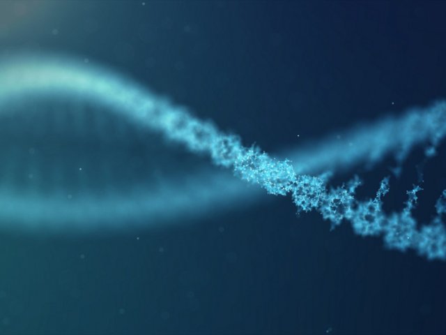 Dell Technologies s partnery nabízí HPC a AI jako službu