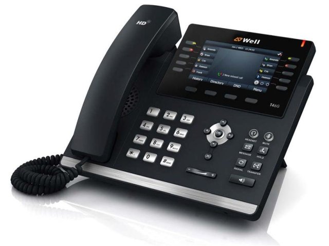 Well: VoIP telefon SIP-T46G