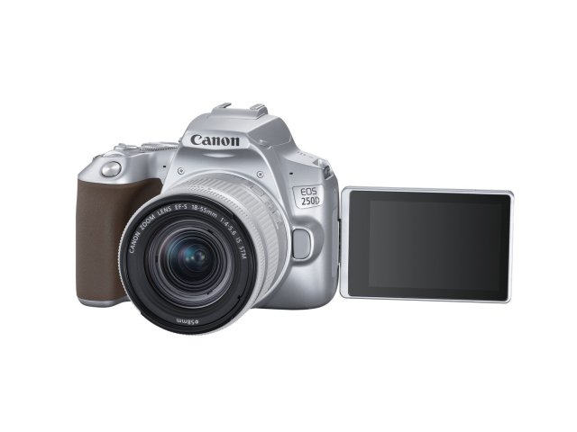 Canon: digitální zrcadlovka EOS 250D