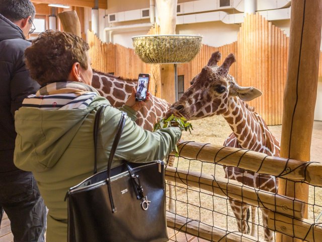 100Mega Safari Roadshow