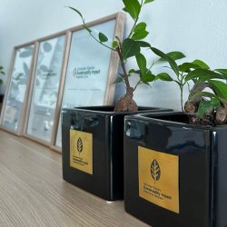 Schneider Electric za udržitelné projekty ocenil čtyři české partnery