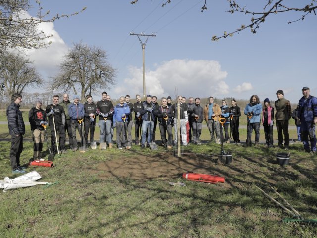 HP bojuje proti odlesňování, v Česku pomáhá i výsadbou stromů