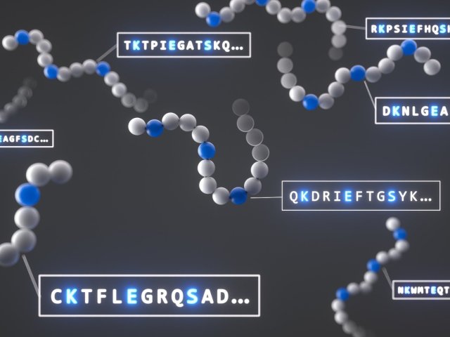 Co přinese budoucnost AI: 7 trendů pro rok 2026 podle Microsoftu