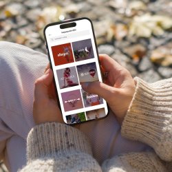 Obraty e-shopů v ČR vloni meziročně vzrostly o šest procent a dosáhly 206 miliard korun