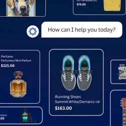 AI agenti budou moci nakupovat: Visa do  Evropy přináší bezpečný model Agentic Ready
