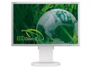 Ekologický monitor NEC.