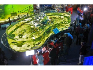 Akvárium a před ním stánek s fototechnikou Canon